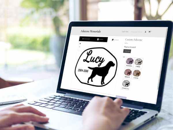 Designing the Lucy Example Ashstone Designing the Lucy Example Ashstone